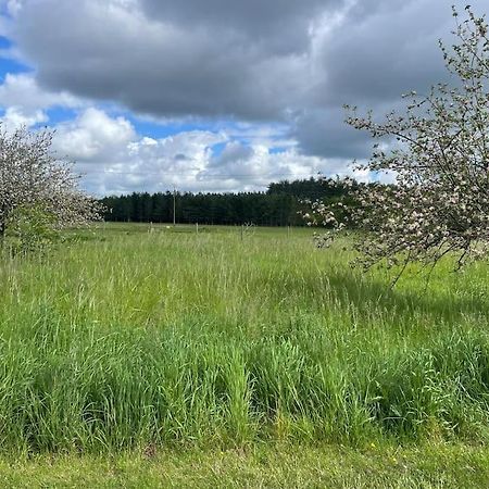 Gite Le Village Des Champs Soings-en-Sologne 외부 사진