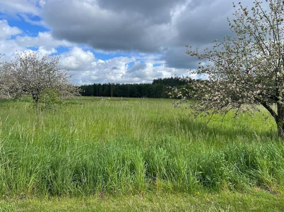 Gite Le Village Des Champs Soings-en-Sologne 외부 사진